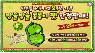 쿠키런 2주년기념 한정판 콩콩이 Cookie Run Limited Edition twin Beans for 2 year anniversary [upl. by Anom]