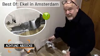 Verzweifelter Hilferuf Ekel in Amsterdam 🤢  BEST OF  Achtung Abzocke [upl. by Cassaundra34]