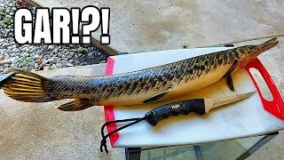 Catch and Cook GAR Very Suprising [upl. by Jeunesse343]