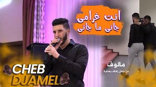 Cheb Djamel  Malouf  Enti Gharami  Jani Ma Jani  انت غرامي  جاني ما جاني [upl. by Lindberg]