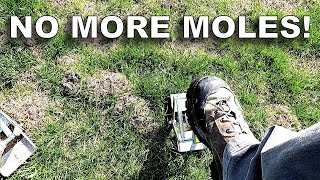 Howto Eliminate Moles Wire Tek EasySet Mole Eliminator [upl. by Akienaj]