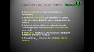 LOS GLUCIDOS carbohidratos hidratos de carbono o sacáridos Tipos y Funciones Mistercinco [upl. by Harrie818]