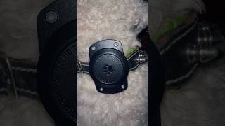 I Put An Air Tag On My Dog dog airtag escapeartist [upl. by Locke235]