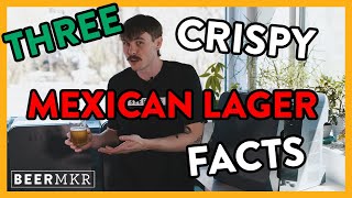 Three Fun Facts about Mexican Lagers [upl. by Egbert]