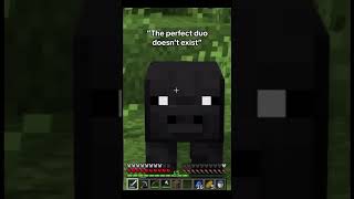 Pigga and Chigga💀💀 minecraft minecraftmemes memes [upl. by Eselahc910]