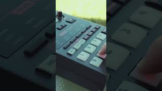 Beatmaking on the BOSS SP202  LoFi Music beatmaking lofi lofimusic lofihiphop sp202 [upl. by Alleacim]