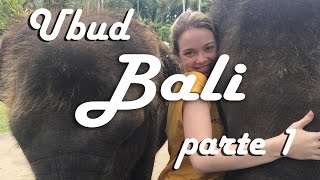 Bali  Ubud parte 1 [upl. by Anialam]