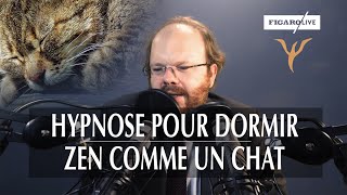 Séance dhypnose pour dormir zen comme un chat 12 [upl. by Ahsad820]