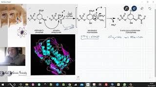 Glifosato la obra maestra de Monsanto [upl. by Eelyrag898]