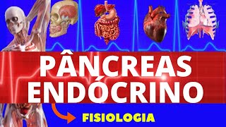 FISIOLOGIA DO PÂNCREAS ENDÓCRINO FISIOLOGIA DE GUYTON  INSULINA E GLUCAGON  FISIOLOGIA HUMANA [upl. by Mylan624]