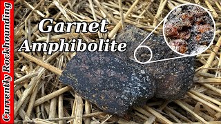 Garnet Amphibolite [upl. by Annorah811]