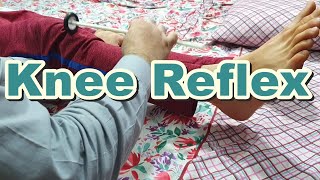 How to Do Knee  Patellar Reflex  Knee Jerk  Deep Tendon Reflexes  L2 L3 L4 Spinal Segments [upl. by Akinoj133]