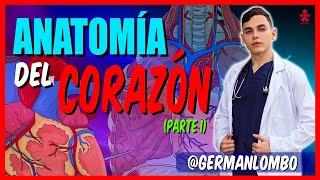 TEMA 1  ANATOMÍA DEL CORAZÓN  Generalidades y Configuración Externa [upl. by Sedinoel]