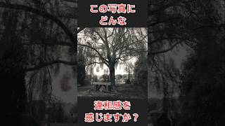 【意味怖】違和感クイズ！！ 意味怖 フィクション 意味が分かると怖い 都市伝説 不思議 雑学 恐怖 恐ろしい 間違い探し パズル 脳トレ クイズ IQ 頭の体操 [upl. by Weaver]