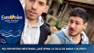 Roi reportero infiltrado ¿qué opina la calle de Amaia y Alfred¿Y sus compañeros [upl. by Adnuhsal720]