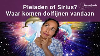 Pleiaden of Sirius Waar komen dolfijnen vandaan [upl. by Putnam]