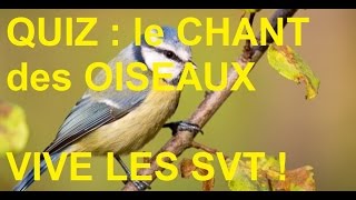 Les chants doiseaux  Zénith FM vivelesSVTcom [upl. by Martell825]