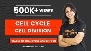 Cell Cycle and Cell Division Class 11  Phases of Cell Cycle and Mitosis  NEET 2022  V Biotonic [upl. by Chapnick748]