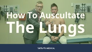 How To Auscultate The Lungs Differentiating Breath Sounds  Physical Examination [upl. by Lynna]