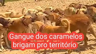 Gangue dos caramelos brigam por território no morro dos sibitos [upl. by Elyac]