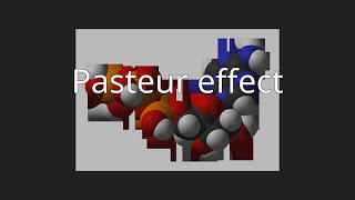 Pasteur effect [upl. by Ellened]