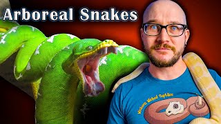 Top 5 Arboreal Snakes That Make GREAT Pets [upl. by Htebazileharas]