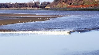 River Mersey – when the tide with bore comes in at Widnes Feb 2019 [upl. by Guilbert]