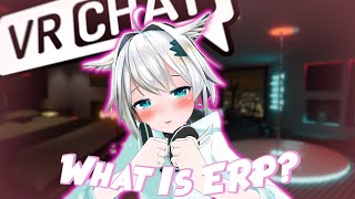 The Unspoken World of ERP  A VRChat Documentary [upl. by Ahsiekyt168]