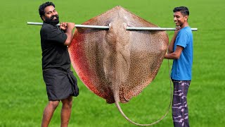 60 Kg Giant StingRay In Mud Hole  തിരണ്ടി ചുട്ട് കറിവെച്ചപ്പോൾ  M4 Tech [upl. by Assi]