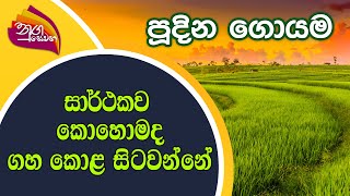 Nugasewana  Pudina Goyama  20220223 Rupavahini [upl. by Repsac]