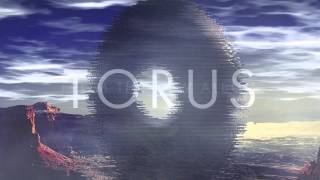 Sub Focus Torus [upl. by Quintie]