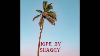 Hope by Shaggy [upl. by Wein]