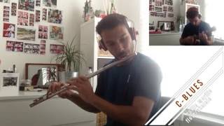 Altered Scale in C BLUES  fluteUkulele melodic minor modes [upl. by Ipoillak]