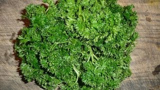 How To Juice Parsley Recipe [upl. by Anirehc]