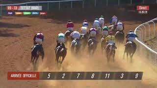 Live Hippodrome « SETTAT »  Courses du « 11102023 » [upl. by Emmett]