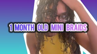 1 month old mini Braids update [upl. by Mamie]