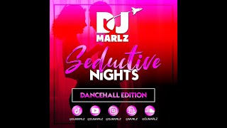 SEDUCTIVE NIGHTS DANCEHALL MIX [upl. by Delanie719]