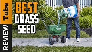 ✅Grass Seed Best Grass Seed Buying Guide [upl. by Eillit390]