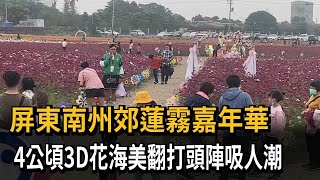 屏東南州「蓮霧嘉年華」登場！ 4公頃「3D花海」打頭陣－民視新聞 [upl. by Ecirtak]