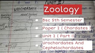 Bsc 5th semester  Zoology paper 2 unit 2nd part 1Urochordata and cephalochordates in hindi [upl. by Aihsenot217]