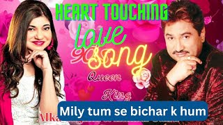 Mile Tum Se Bichar Ke Hum  Kumar Sanu Kavita Krishnamurthy Alka Yagnik  Salaami 1994 Songs [upl. by Oznerol134]