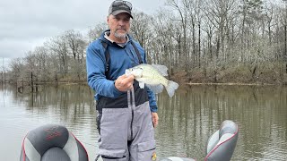 Catching Alabama Crappie On The TennTom Waterway  Crappie Fishing  Garmin LiveScope [upl. by Derril740]