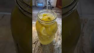 Lemon Brew homebrew fermentation selfsufficiency homestead shorts [upl. by Phaedra746]