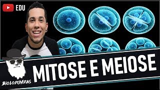 MITOSE X MEIOSE e a PRINCIPAL DIFERENÇA [upl. by Towroy]