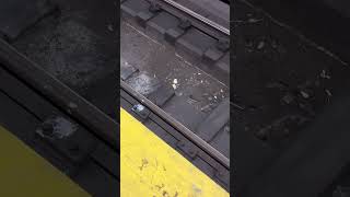 a metrocard on nyc subway tracks 26 [upl. by Sonny]