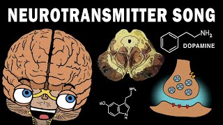 THE NEUROTRANSMITTER SONG [upl. by Okime]