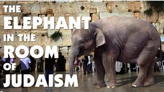 The ELEPHANT in the ROOM of JUDAISM – Rabbi Michael Skobac – Jews for Judaism [upl. by Gardia262]