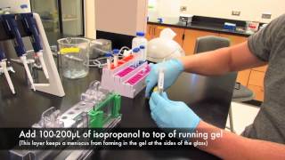 How to make an acrylamide gel for electrophoresis [upl. by Etteniuq]