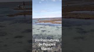 Piscinas naturais de Pajuçara Maceió [upl. by Cosette]