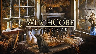 WitchCore ◈ Autumn Forest 🍂 Good Witch Cabin  Cats Herbs Light Rain  Soft Music [upl. by Aicatsanna]